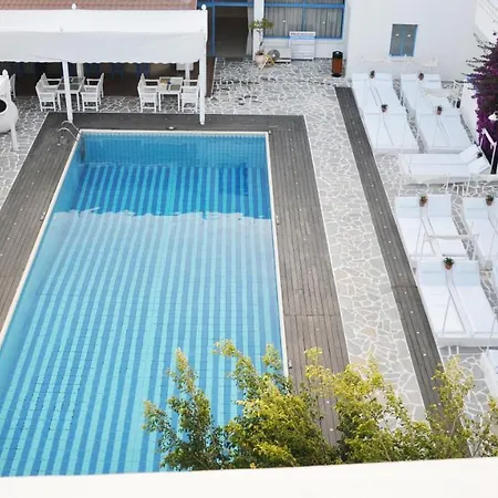 τασμαρία Πάφος